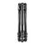 Manfrotto Befree GT állvány (4 részes, CF)