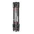 Manfrotto Befree Live kit karbon állvány